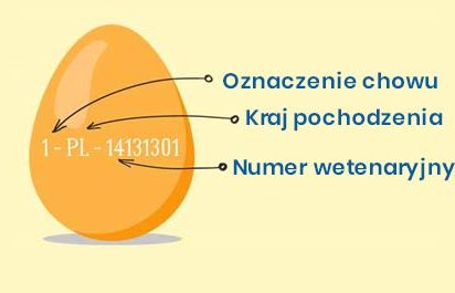 Czy wiesz, że numer nadrukowany na jajku to…
